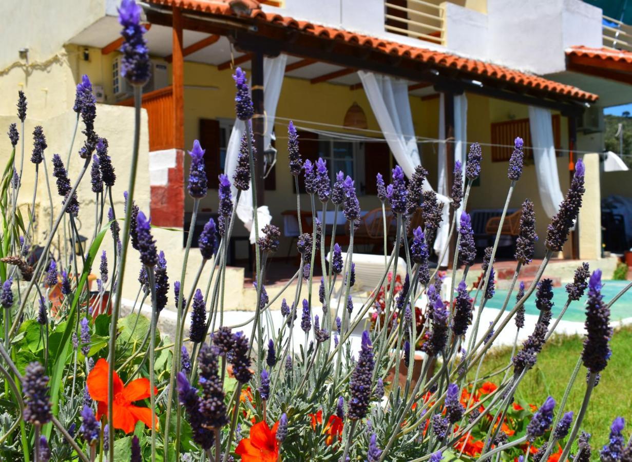 Villa Krini Skiathos Town Exterior photo